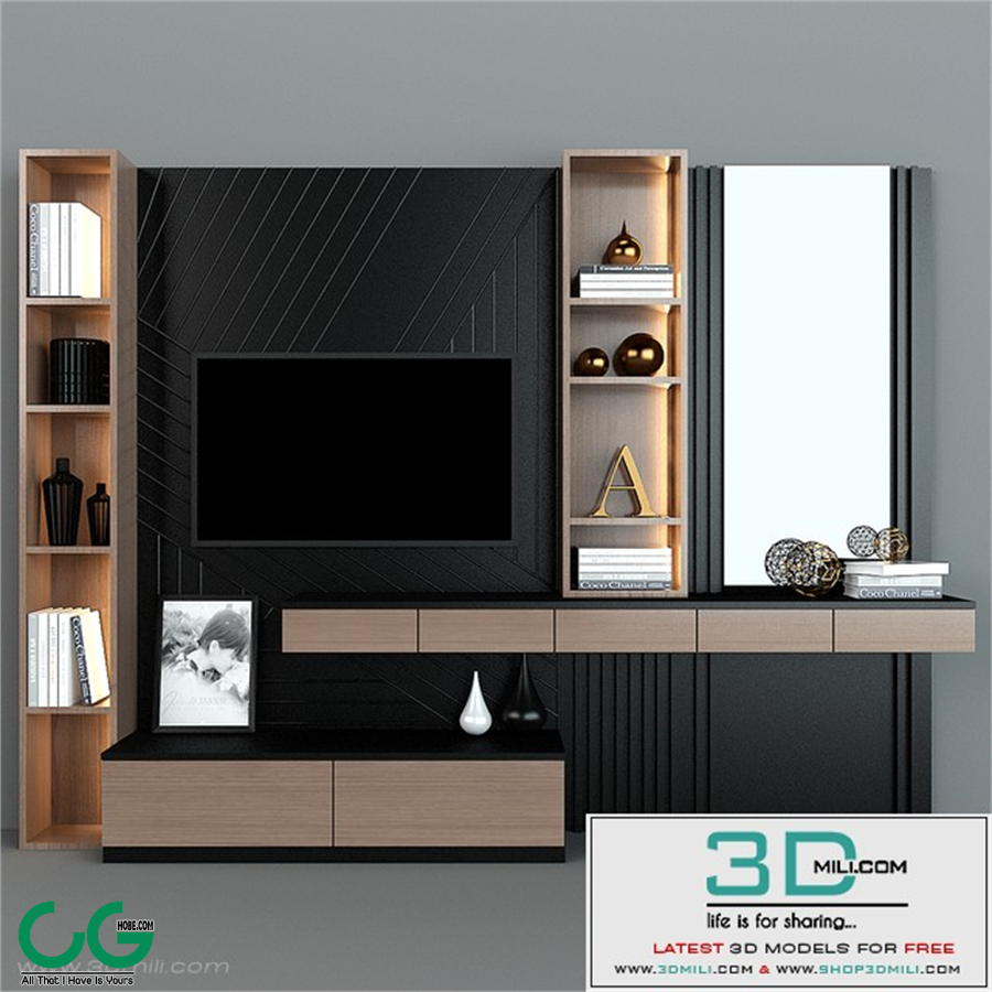 TV 
